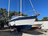AMERGLASS SEARUNNER 30