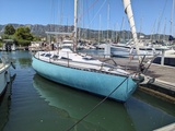 Neptune 99