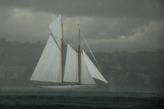 Après la pluie...