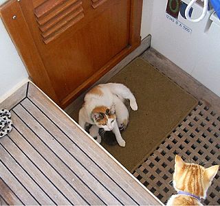 Souvenir de vacances 2004