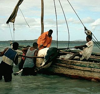 Port du monde