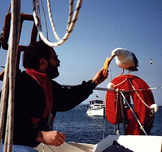 Oiseau(x) des mers et des océans