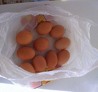 sac de noeuds