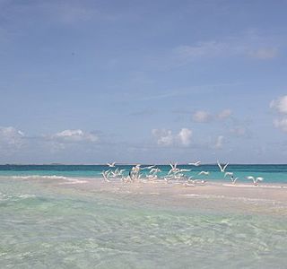 Paysages de bord de mer.