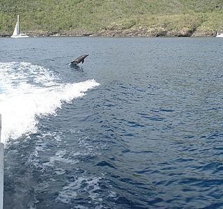 Petit plaisir de navigation