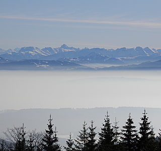 Beauté de la nature