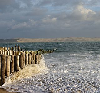 Eolienne de mer