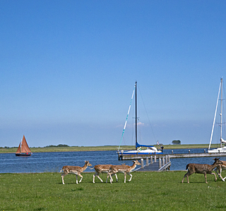 Balades sur les eaux intérieures