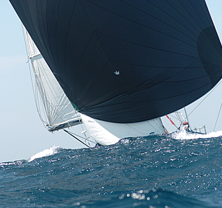 Sous spi dans la brise