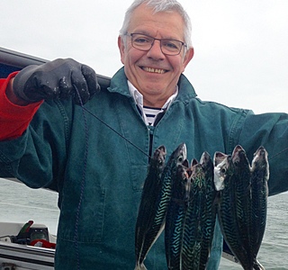 Faune marine croisée en navigation