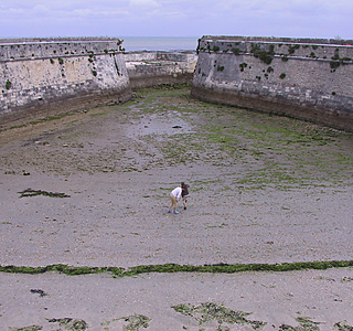 Les entrées de port