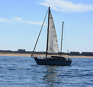 Evasion 32