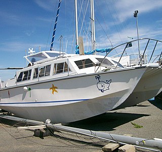 Catalac 8