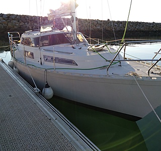 Evasion 29 biquille