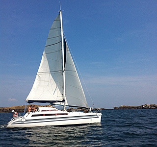 Edel Cat 35