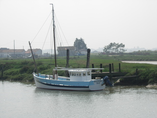Cotre 970
