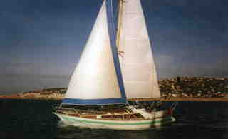 Trisbal 36