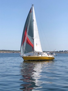 Maracuja 42