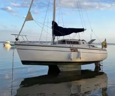 Biloup 77 NV